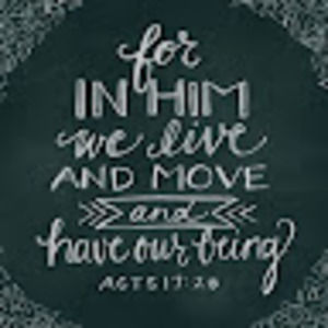 Meet your Posher, Rebekah